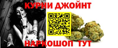 прущие грибы Новоалександровск