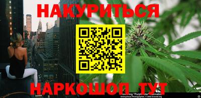 прущие грибы Новоалександровск