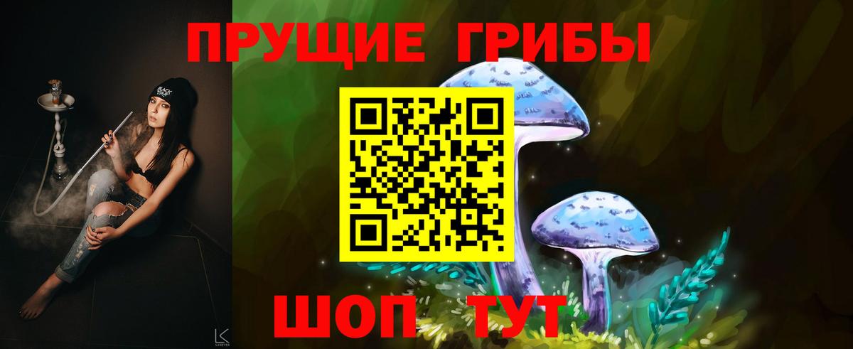 Асбест  Галлюциногенные грибы Psilocybine cubensis  Псилоцибиновые грибы Psilocybine cubensis  Вход с VPN 